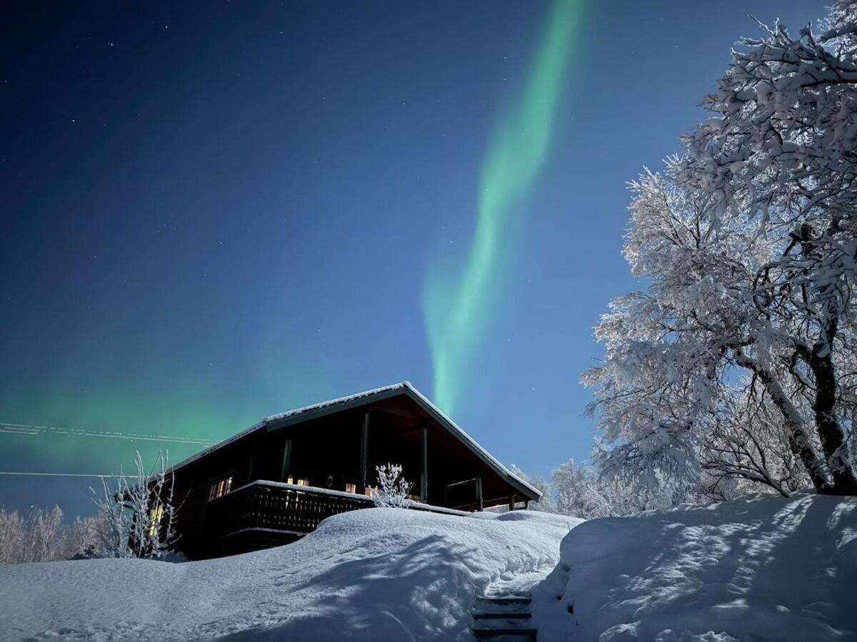 Trivelig Hytte I Senja. Exterior photo