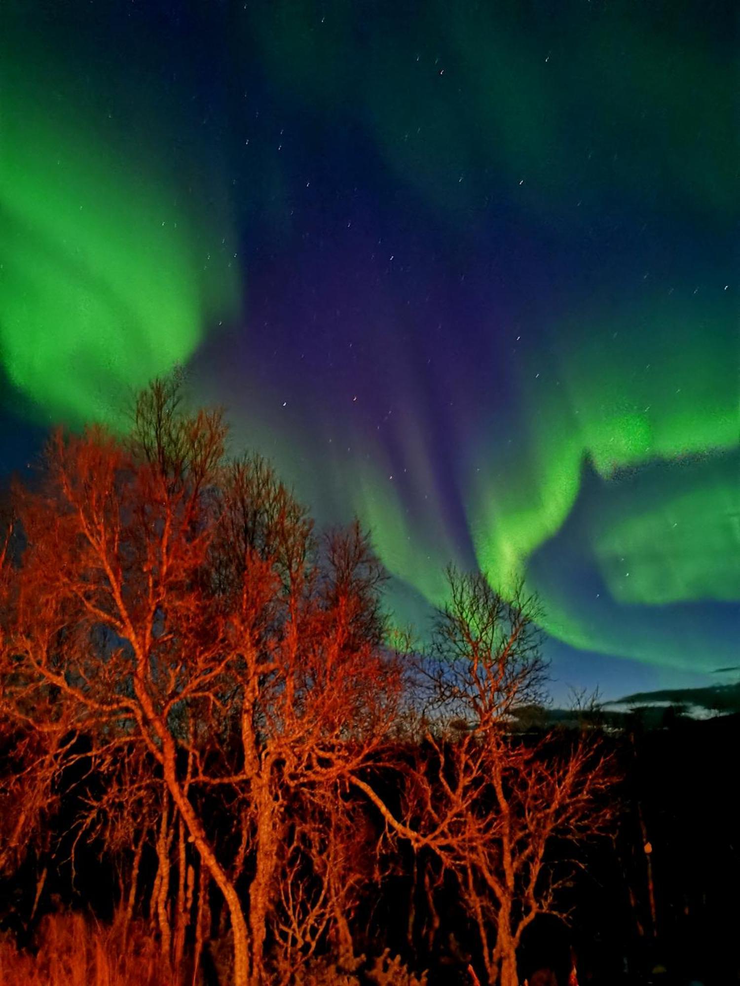 Trivelig Hytte I Senja. Exterior photo